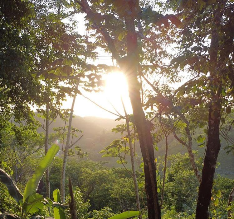 Villa Cayo San Ignacio Exteriér fotografie